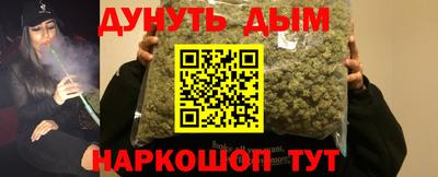 прущие крисы Бийск