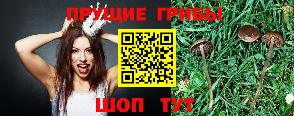 как найти наркотики  Галлюциногенные грибы мицелий  Вход с VPN  Белебей  Галлюциногенные грибы MAGIC MUSHROOMS 