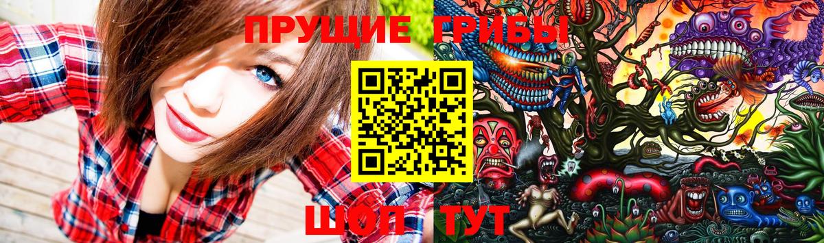 Галлюциногенные грибы Cubensis Белебей